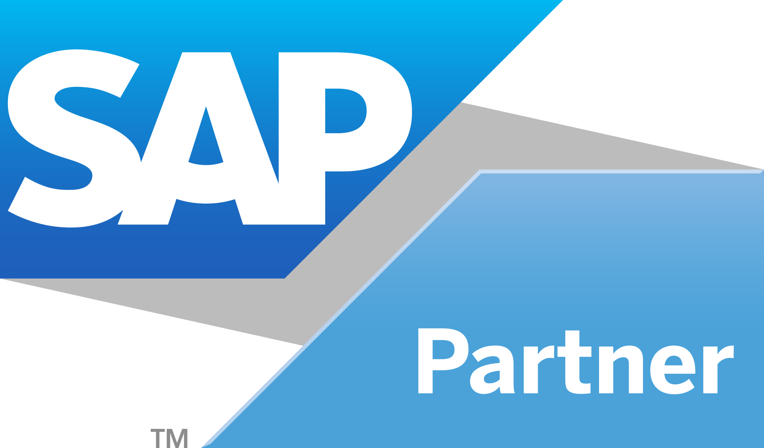 SAP partner logo scaled